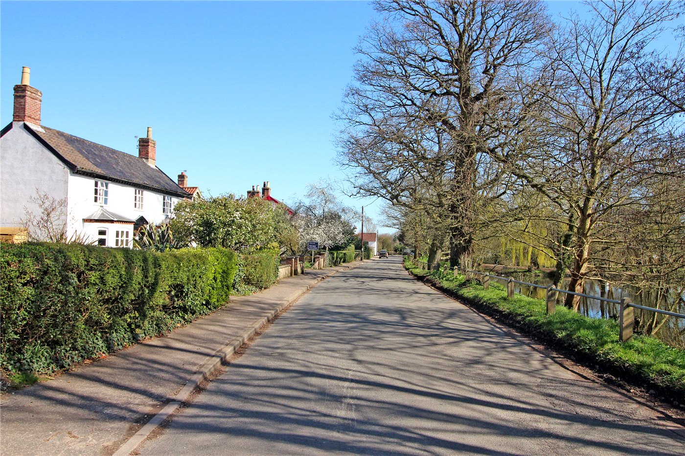 The Street